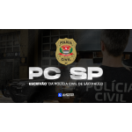 PC SP - Escrivão da Polícia Civil de São Paulo (AlfaCon 2026) PC SP - Escrivão da Polícia Civil de São Paulo (AlfaCon 2026)