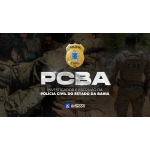 PC BA - Investigador e Escrivão da Polícia Civil do Estado da Bahia (AlfaCon 2026) PC BA - Investigador e Escrivão da Polícia Civil do Estado da Bahia (AlfaCon 2026)