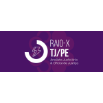 RAIO-X - ANALISTA E OFICIAL TJPE 2025 (Ciclos 2026)