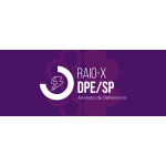 RAIO-X - DPESP 2025 (ANALISTA) (Ciclos 2026)