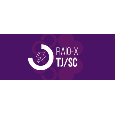 RAIO-X - TJSC 2025 (Ciclos 2026) RAIO-X - TJSC 2025 (Ciclos 2026)