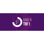 RAIO-X - TRF1 2025 (Ciclos 2026)