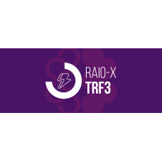 RAIO-X - TRF3 2025 (Ciclos 2026) RAIO-X - TRF3 2025 (Ciclos 2026)